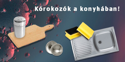 konyhai kórokozók